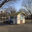 수노을주유소 | 가평 캠프 241 더 다이닝 캠핑장 내 돈 내산 솔직 후기