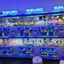 우주인형뽑기 이미지