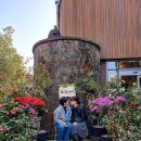 제주기사 이미지