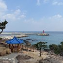 바다향기 | 포항 브런치 카페 오전 9시부터 바다 보며 즐기는 브런치 여유로운 아침 여행코스 카페 오딘