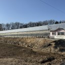 유천하우스 | 아라뱃길 식물원 카페 <커피하우스 유천>