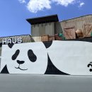 바오하우스 이미지