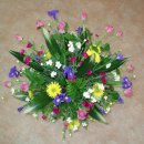 밀드플레 이미지