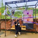 아곡 | 대구근교 대구경북최대규모 1600평 대형애견카페 대형견가능 경북 칠곡 &#39;컴페니언&#39; 방문 후기