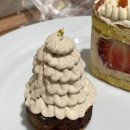 카스타니아 castanea