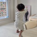 창작고래 | [서평단] 성우출판사 국내 창작 전집 릴라팝 솔직후기