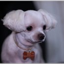 또또미용실 이미지