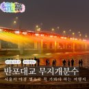 서울 야경 명소 반포한강공원 반포대교 달빛 무지개분수 분수쇼 시간