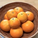 한농수산 | 타이벡감귤 5kg 비상한농수산 당도높은 제주감귤