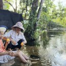 효심 농장 이미지