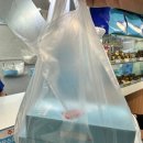 중화분식 | 이순신광장맛집 먹거리 바다김밥 구봉만두 로타리분식 주차정보 내돈내산 솔직후기