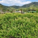 소소리농장 이미지