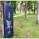 중기 효자숲 이미지