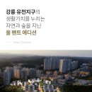 [기획강의] 도심 속 정원 가꾸기 생활 가드닝 | 대명 에르노레인 강릉 유천지구 회사보유분 특별분양 심층분석