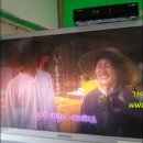 가을농원 티스토리