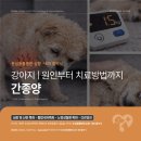 심동물병원 이미지