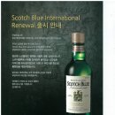 Scotch Blue International Renewal 스카치블루 인터내셔날 리뉴얼 제품 출시 이미지