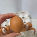 양촌농원 1농장 이미지