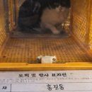 노산동물병원