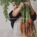 고마워토토인덕원점 네이버블로그