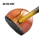 300골프 | 데이비드 감나무 프리미엄 파크골프채 DP300 한 달 사용 솔직 후기