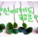 행운을드립니다 이미지