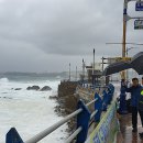 동해시-43 이미지