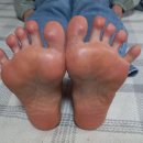 다섯발가락 이미지