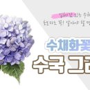 수채화 / 디테일하게 수국 그리고 명암 넣기 / 작은 엽서에 수국 그리기물고기아트_아뜰리에 이미지