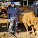 수도한우 이미지