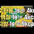 몬스터짐 이미지