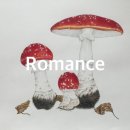 색연필 일러스트 & 보타니컬 아트 이미지