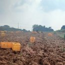 예은농장 이미지