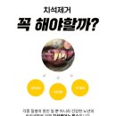 이미지덴탈 | 비그리 플랫져키 강아지 치석제거껌 후기, 노령견도 잘 먹는 덴탈껌 찾는다면