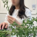 (한 뼘 강의실)하브루타-나를 디자인 하다 | 강남플라워클래스 플로리스트 전문학원｜미소꽃예술학원