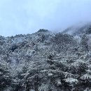 다미솔 | 겨울 강원도 여행 숙소 리스트 (링크 있음)