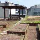 화곡4동 주민센터 이미지