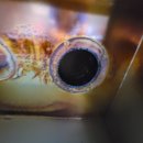 크린성남 이미지