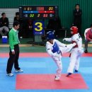 시사코리아저널