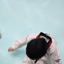 하임태권도장 이미지