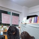 「해방의 밤」 북토크 이미지