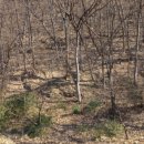 성민공인중개사사무소 이미지