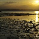 갯벌이야기 이미지