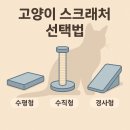 먼치킨 | [티캣의 하루] 고양이 종에 따라 스크래처도 달라야 하는 이유 (feat. 먼치킨 실사용 후기)