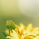 둘리노래방 이미지