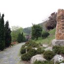 숲쟁이로 이미지