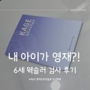 KAGE 강남 영재교육학술원 6세 유아 웩슬러 검사 후기