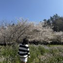 예래별장 이미지