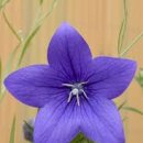 운중체육공원2 이미지