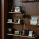 브로콜리삼춘 이미지